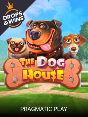 The Dog House